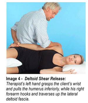 Image 4 - Deltoid Shear Release
