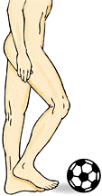 Figure 5: Vestibular and Motor Dominance. Illustrated by Laura Moaske/Medimagery LLC. Reprinted with permission.