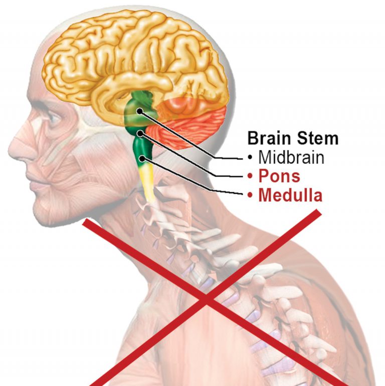 Figure 5. PMRF: Epicenter for postural control