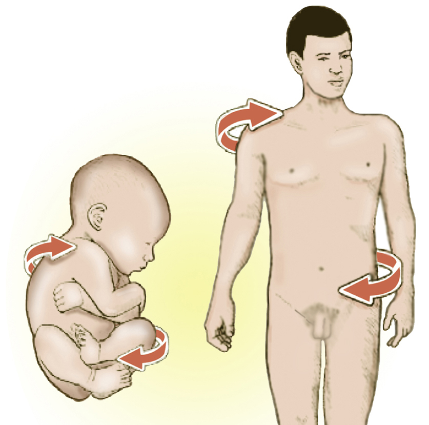 Figure 3.